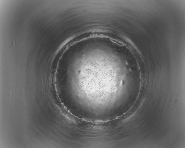 X0000081490829200701191856