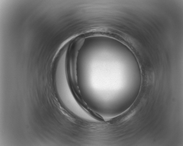 X0000081490830200701191856