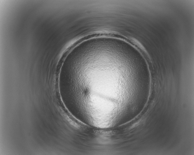 X0000081490831200701191856