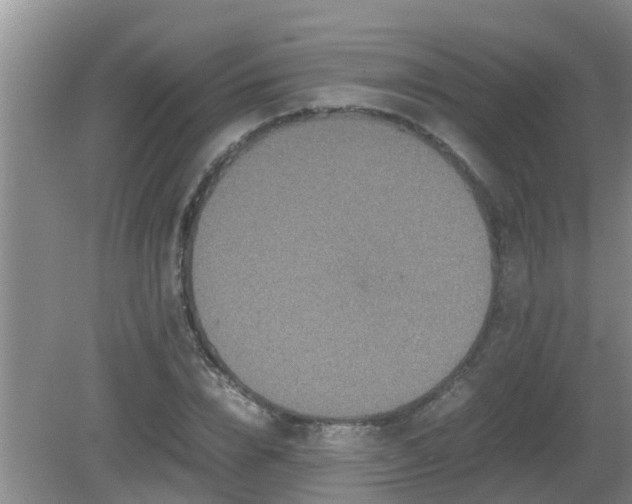 X0000081490832200701191856