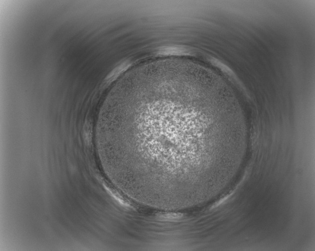 X0000081490833200701191856