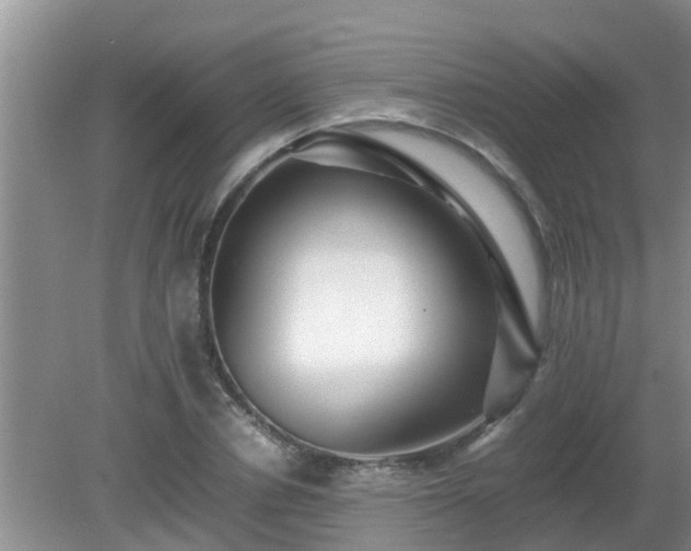 X0000081490834200701191856