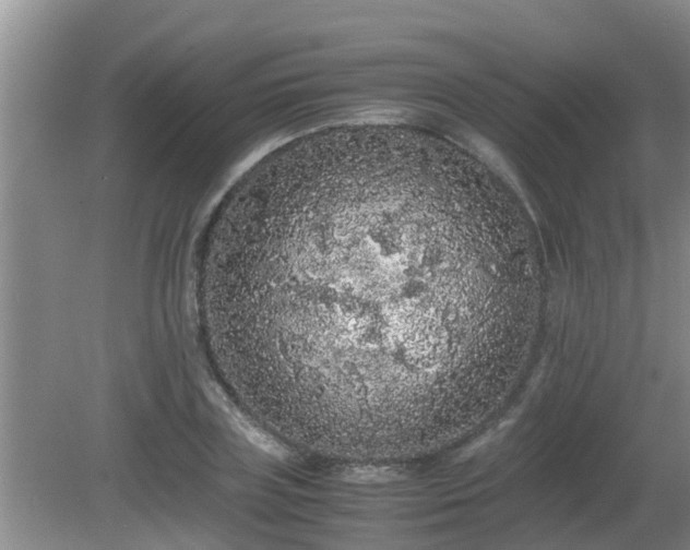 X0000081490835200701191856