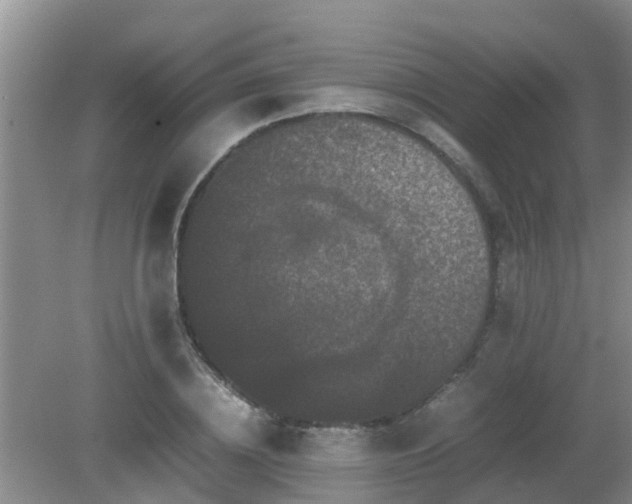 X0000081490836200701191856