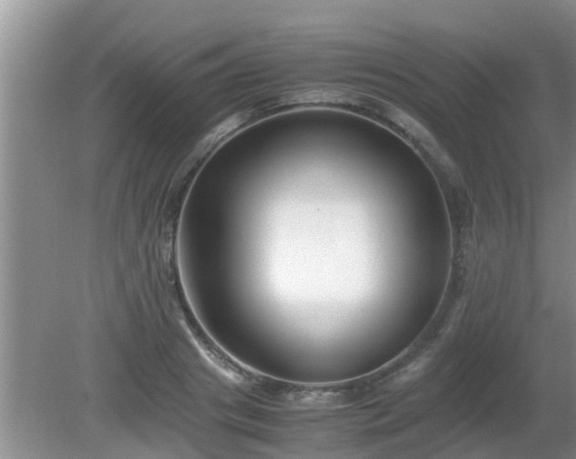 X0000081490841200701191856