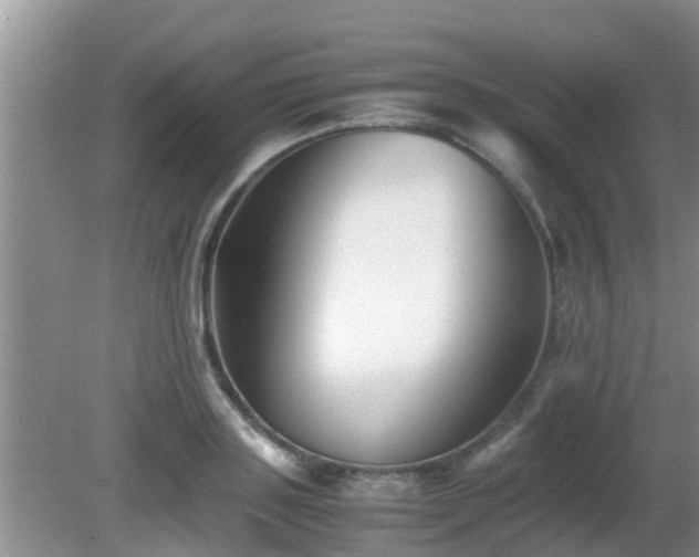 X0000081490843200701191856