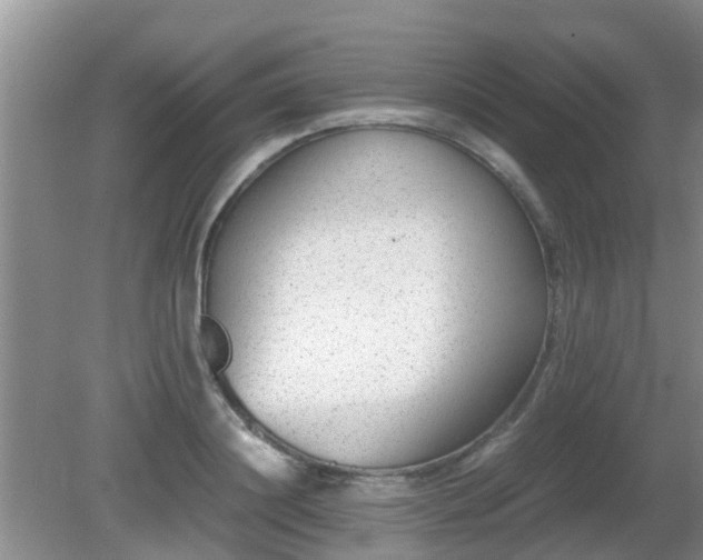 X0000081490844200701191856