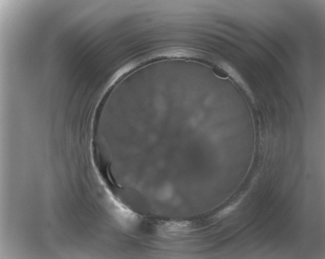 X0000081490845200701191856