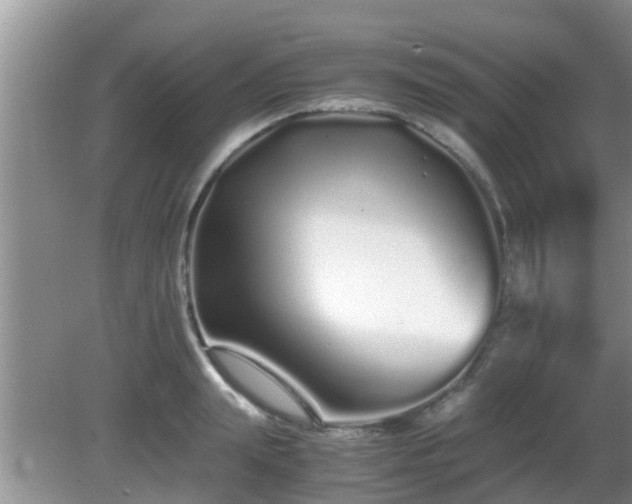 X0000081490847200701191856