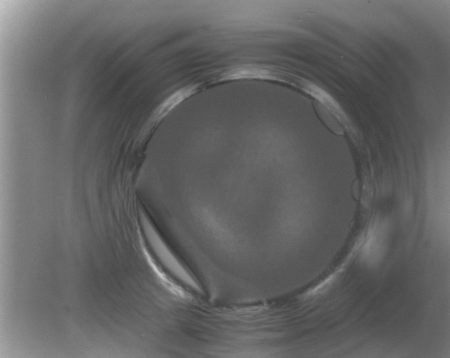 X0000081490849200701191856