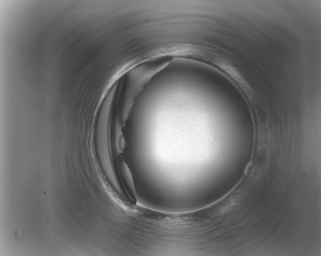 X0000081490850200701191856