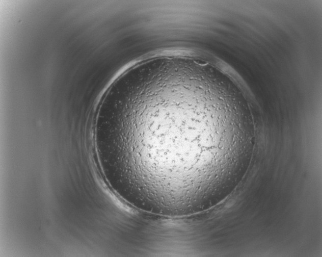 X0000081490852200701191856