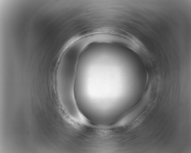 X0000081490854200701191856