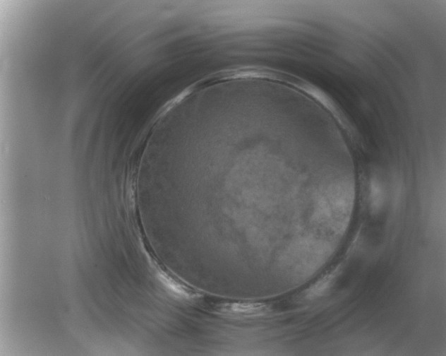 X0000081490857200701191856