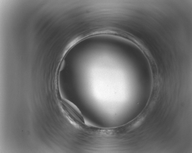 X0000081490858200701191856