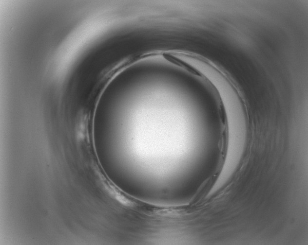 X0000081490862200701191856