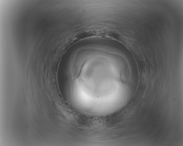 X0000081490865200701191856