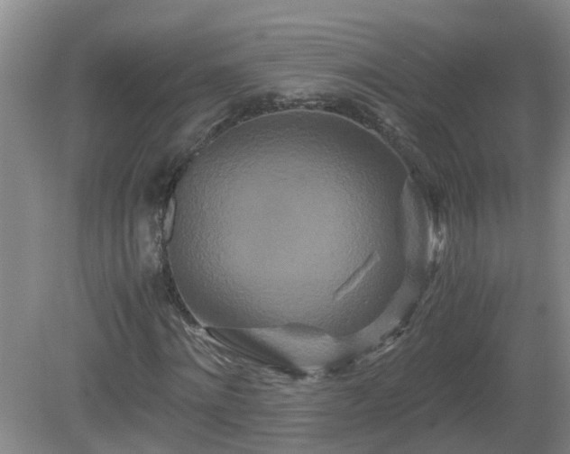 X0000081490868200701191856