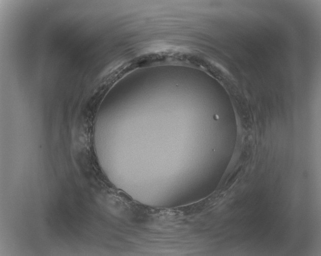 X0000081490869200701191856