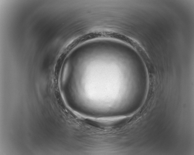 X0000081490871200701191856