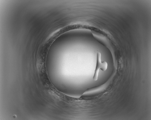 X0000081490872200701191856