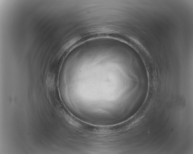 X0000081490873200701191856