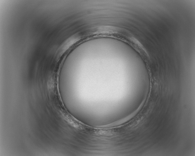 X0000081490874200701191856