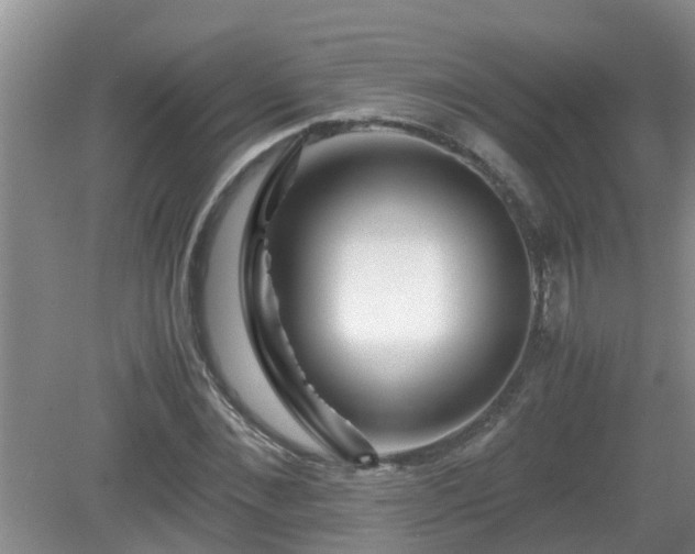 X0000081490876200701191855