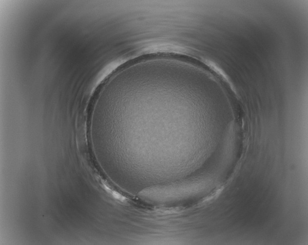 X0000081490877200701191855