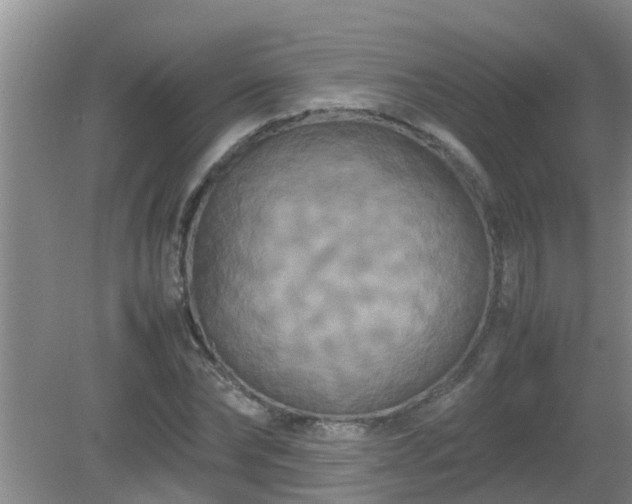 X0000081490878200701191855