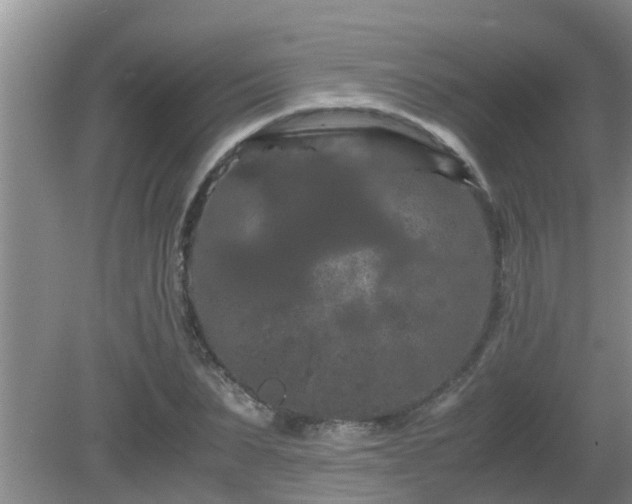 X0000081490879200701191855