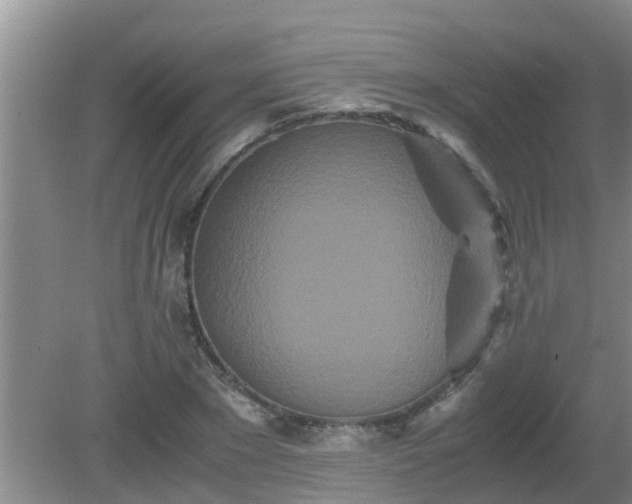 X0000081490881200701191855