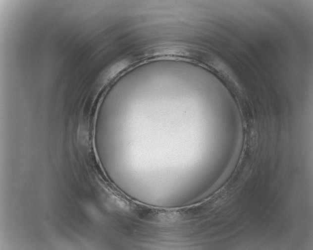 X0000081490882200701191855