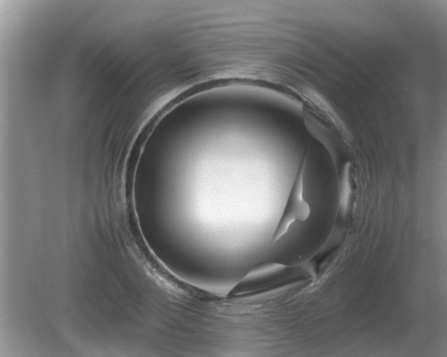 X0000081490884200701191855