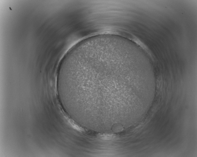 X0000081490886200701191855