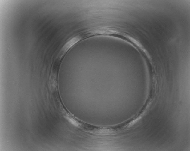 X0000081490889200701191855