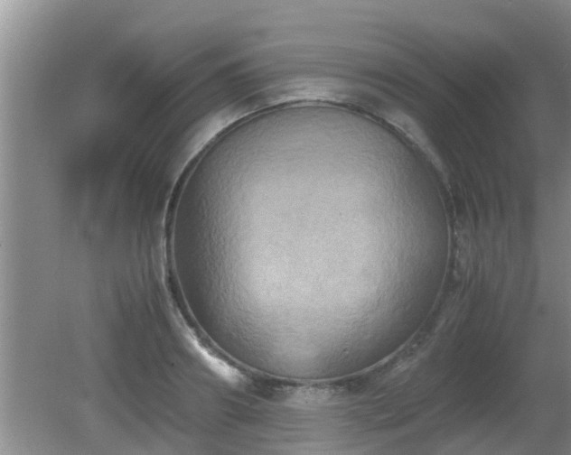 X0000081490890200701191855