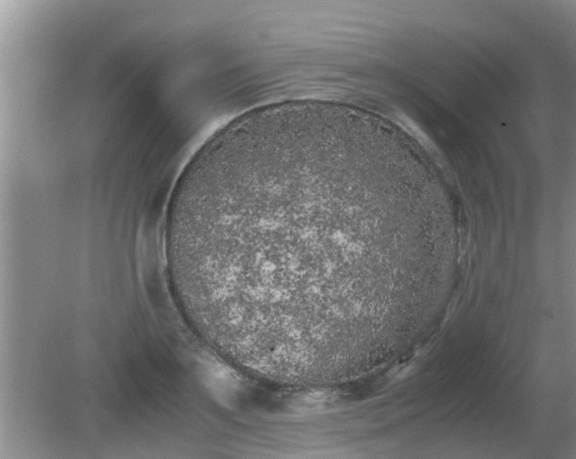 X0000081490891200701191855