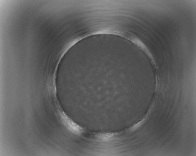 X0000081490892200701191855