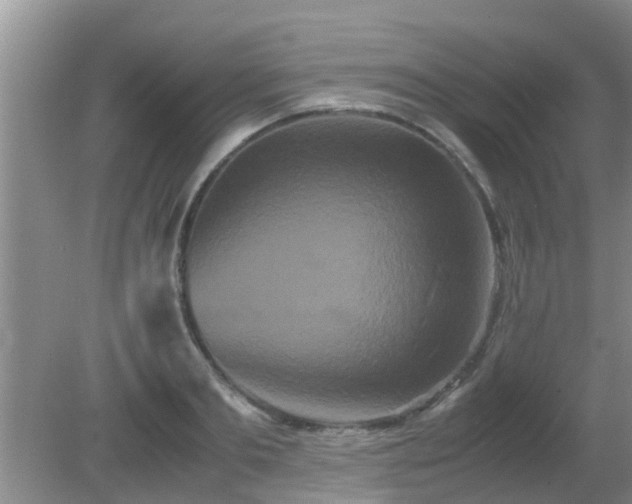 X0000081490893200701191855