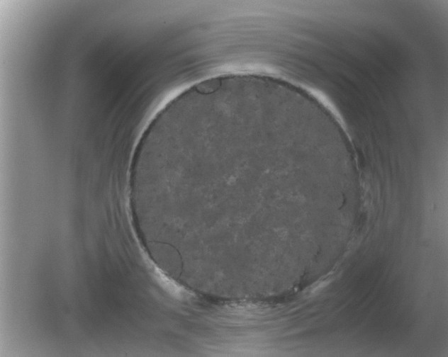 X0000081490895200701191855