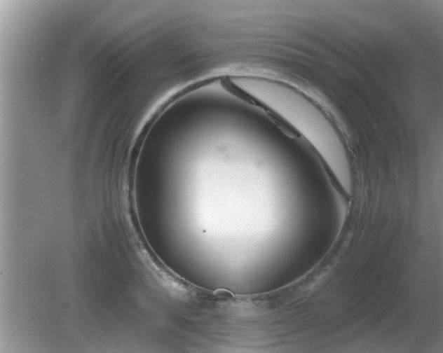 X0000081490896200701191855