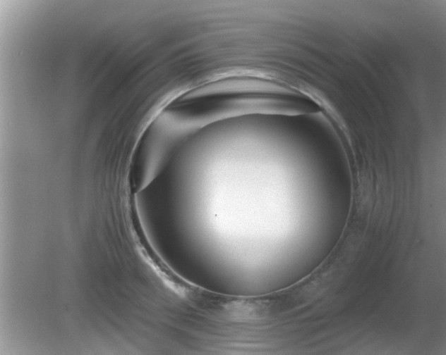 X0000081490898200701191855