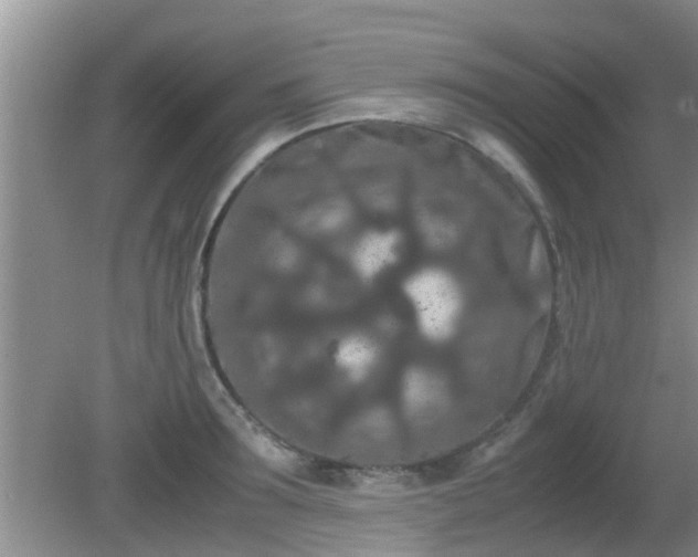 X0000081490899200701191855