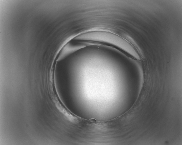 X0000081490900200701191855