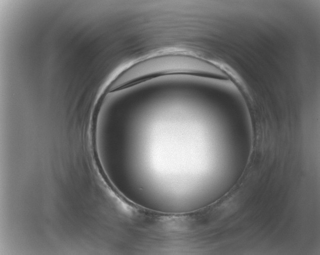 X0000081490902200701191855