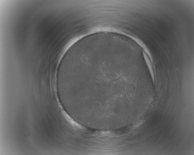 X0000081490903200701191855