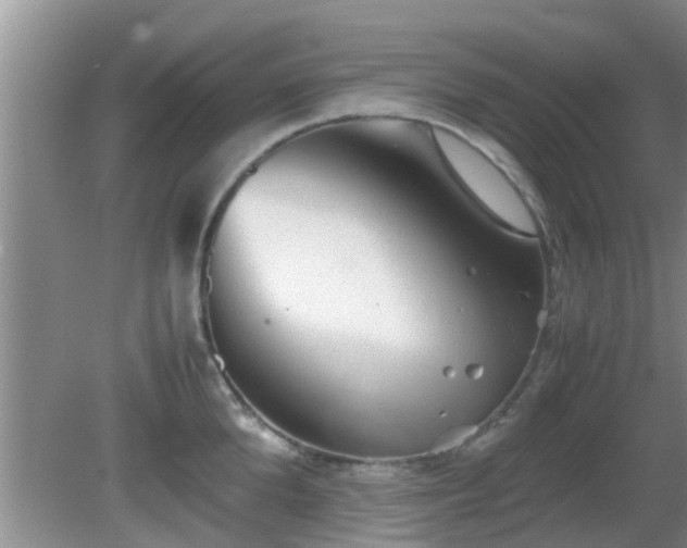 X0000081490904200701191855