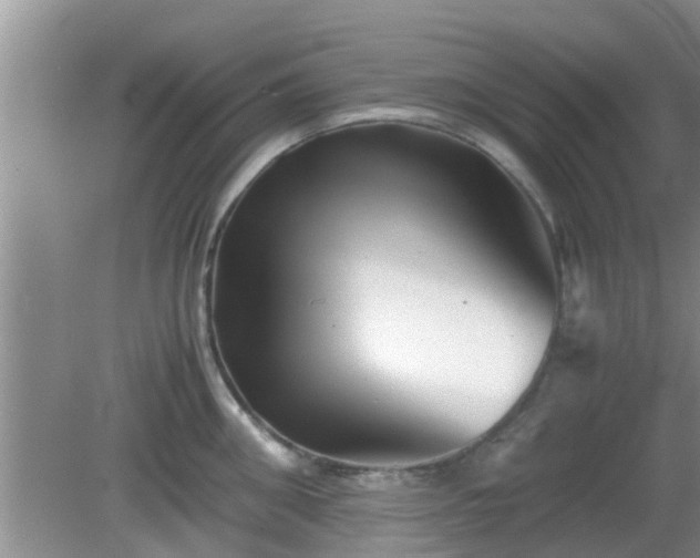 X0000081490906200701191855