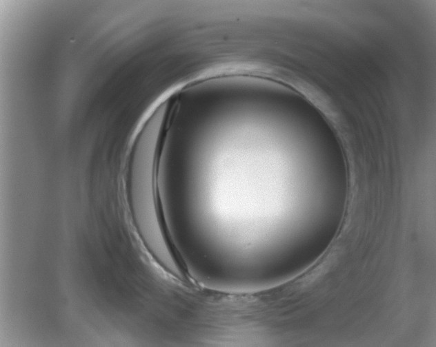 X0000081490912200701191855